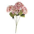 Essential Pink Hydrangea Bush (36cm)