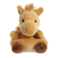 Horse Palm Pal