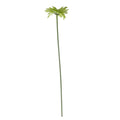 Essential Green Gerbera