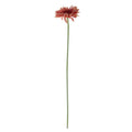 Essential Dusky Pink Gerbera