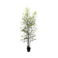 UV Botanica Bamboo Plant  (152cm)