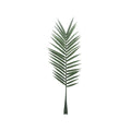 Botanica Palm Leaf (147cm)