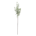Grey/Green Eucalyptus Stem