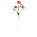 Essential Pink Viburnum Spray