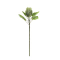 Green Large Protea (65cm)