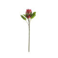 Red Large Protea (65cm)