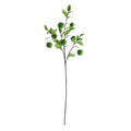 Apple Spray Green (89cm)