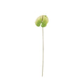 Essential White/Green Anthurium (59cm)