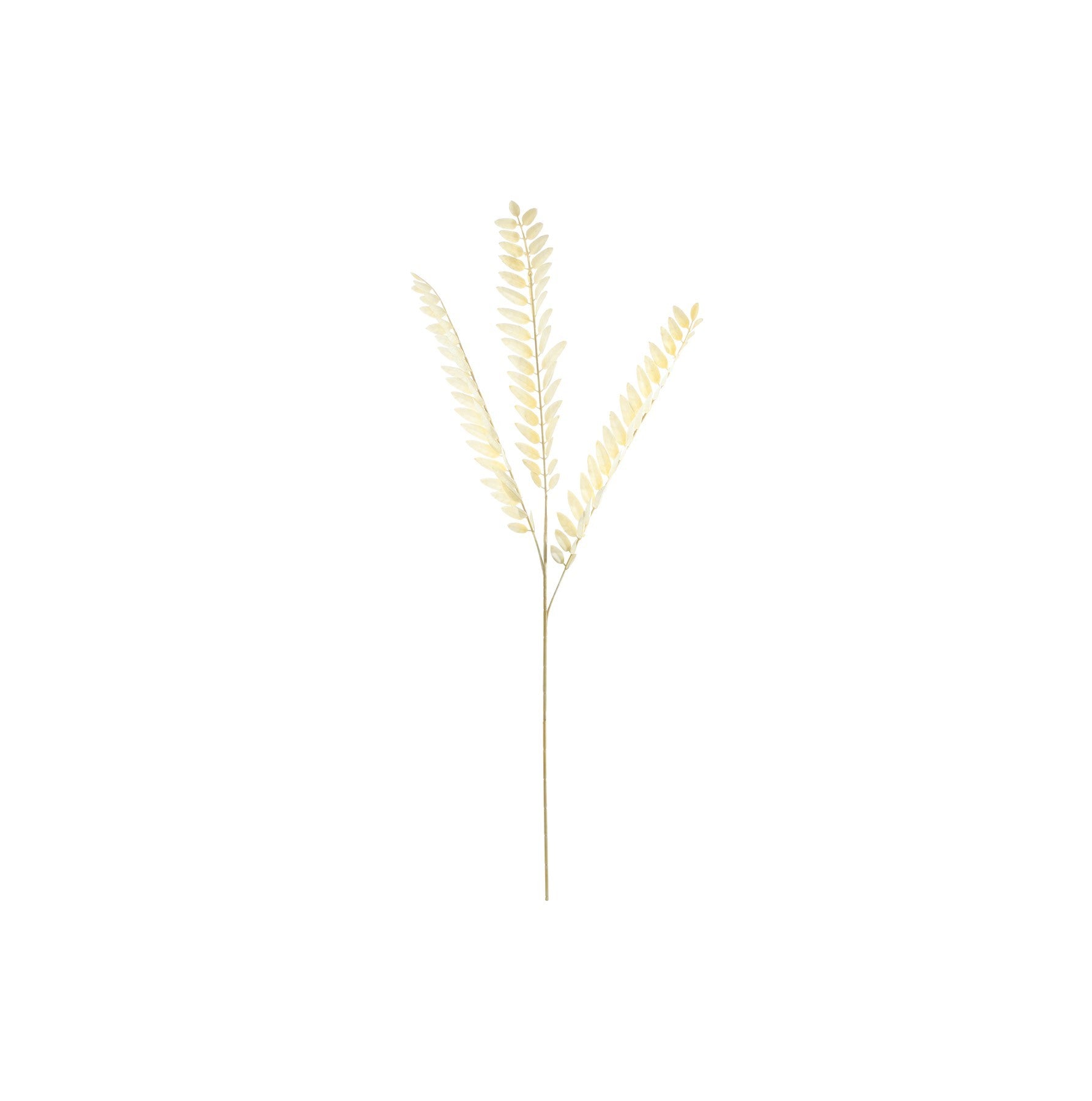 Essential Dry Look Bleached Fern Spray (78cm)