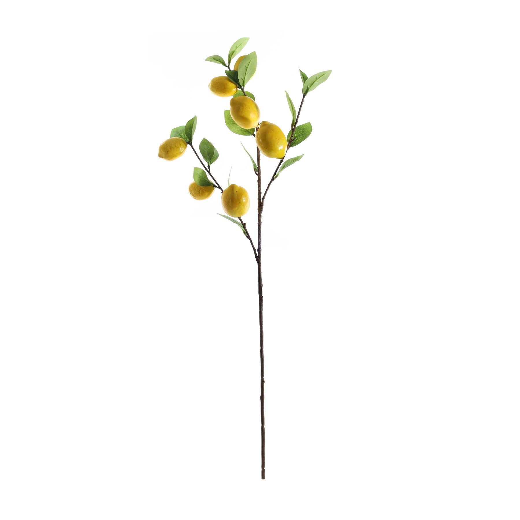 Lemon Branch (90cm)