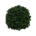 UV Botanica Box Ball (35cm)