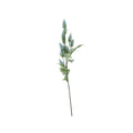Essential Blue Thistle