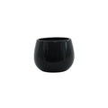 Glossy Black Hortus London Pot (12x11cm)