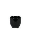 Glossy Black Hortus Cairo Pot (12.5x12cm)