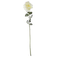 Snowy White English Rose (72cm)