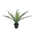 Botanica Fern Plant 8 Fronds (35cm)