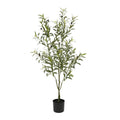 Botanica Olive Tree in pot (120cm)