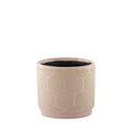 Pink Hortus Melbourne Cosmos Pot (11.5 x 10.5cm)