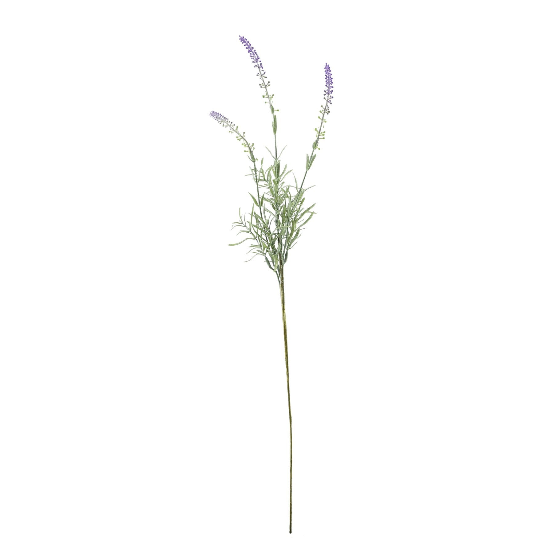 Essential Lavender Stem