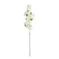 Essential White Bougainvillea Spray