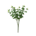 Essential Green Eucalyptus Bush