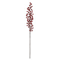 Red Mini Rose Hip Stem (86cm)