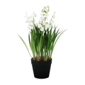Lily of the Valley Potted Plant (25cm)