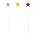 Wooden Star Clear Glaze (50cm)