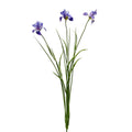 Botanica Lilac/White Iris (71cm)