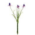 Botanica Purple/Orange Iris (71cm)