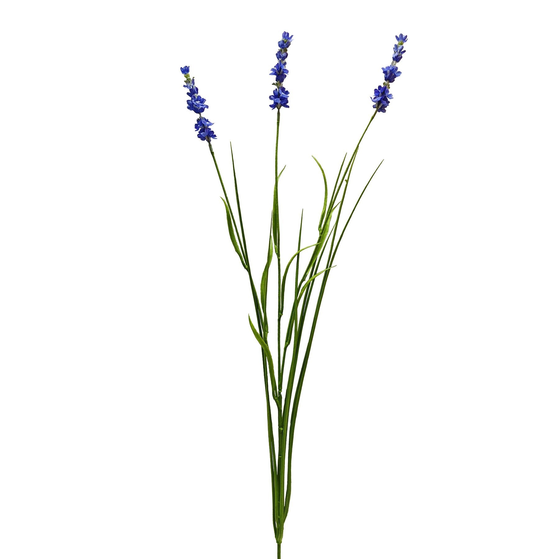 Botanica Blue Lavender (76cm)