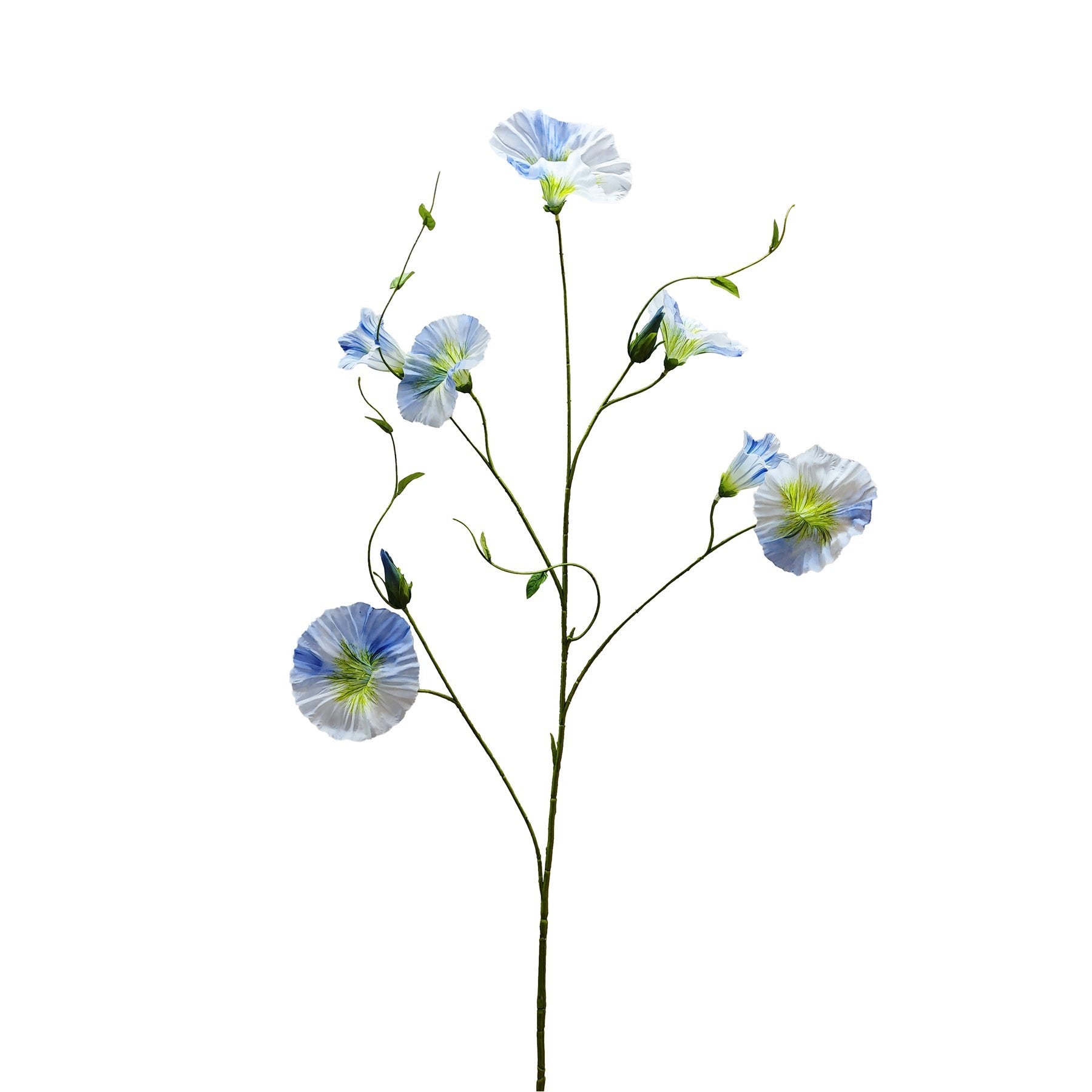 Botanica Teal Liseron (107cm)