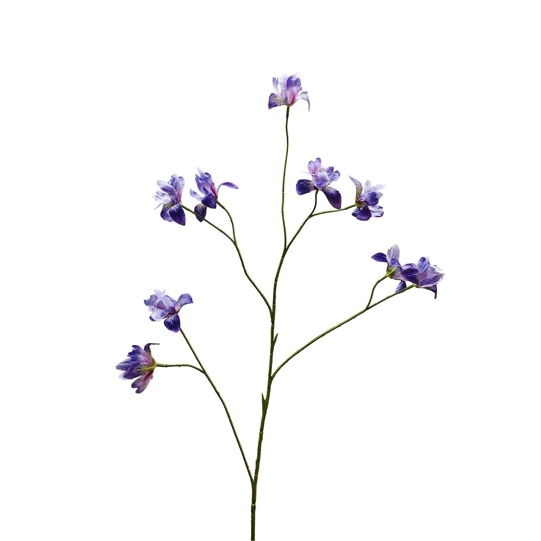 Botanica Purple Iris Spray (105cm)