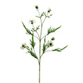 Botanica Cream Cornflower Spray (92cm)