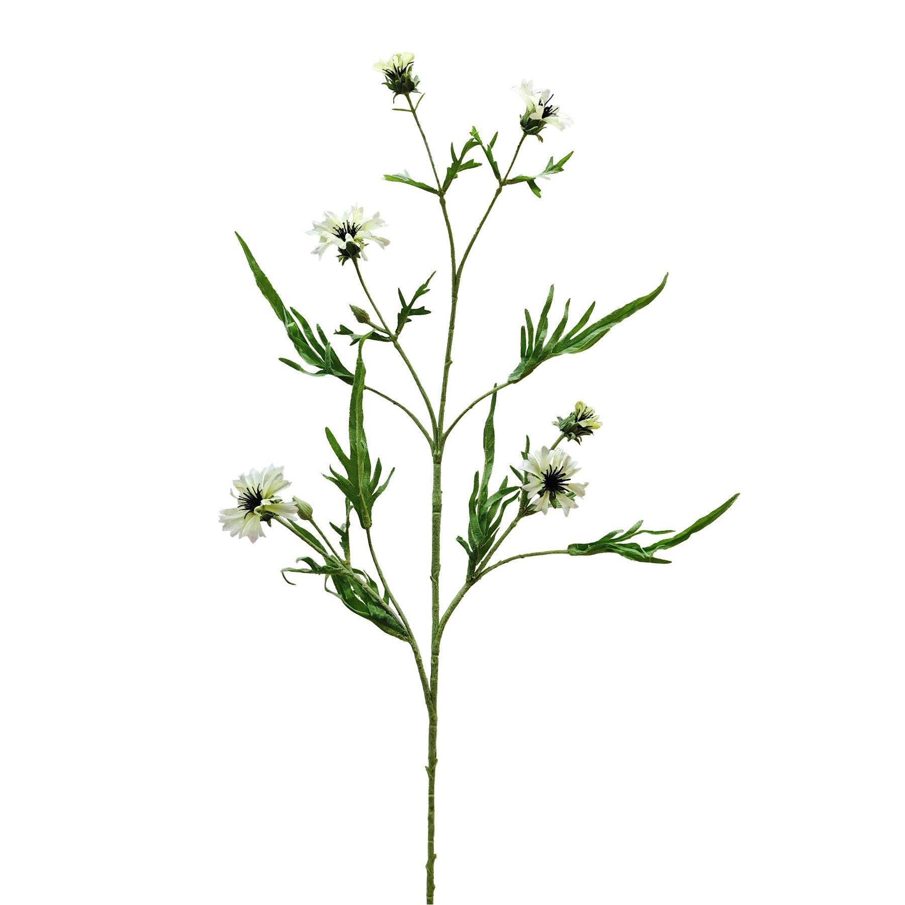 Botanica Cream Cornflower Spray (92cm)