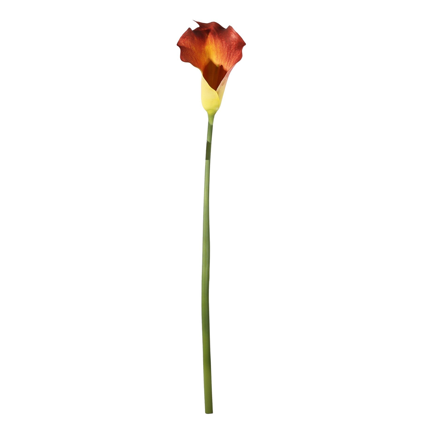 Botanica Large Mango Calla Lily (82cm)