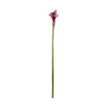 Botanica Purple Calla Lily (60cm)