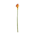 Botanica Mango Calla Lily (60cm)