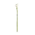Botanica White Calla Lily (60cm)