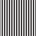 Clear Black Pinstripe Cello Wrap (50mx80cm)