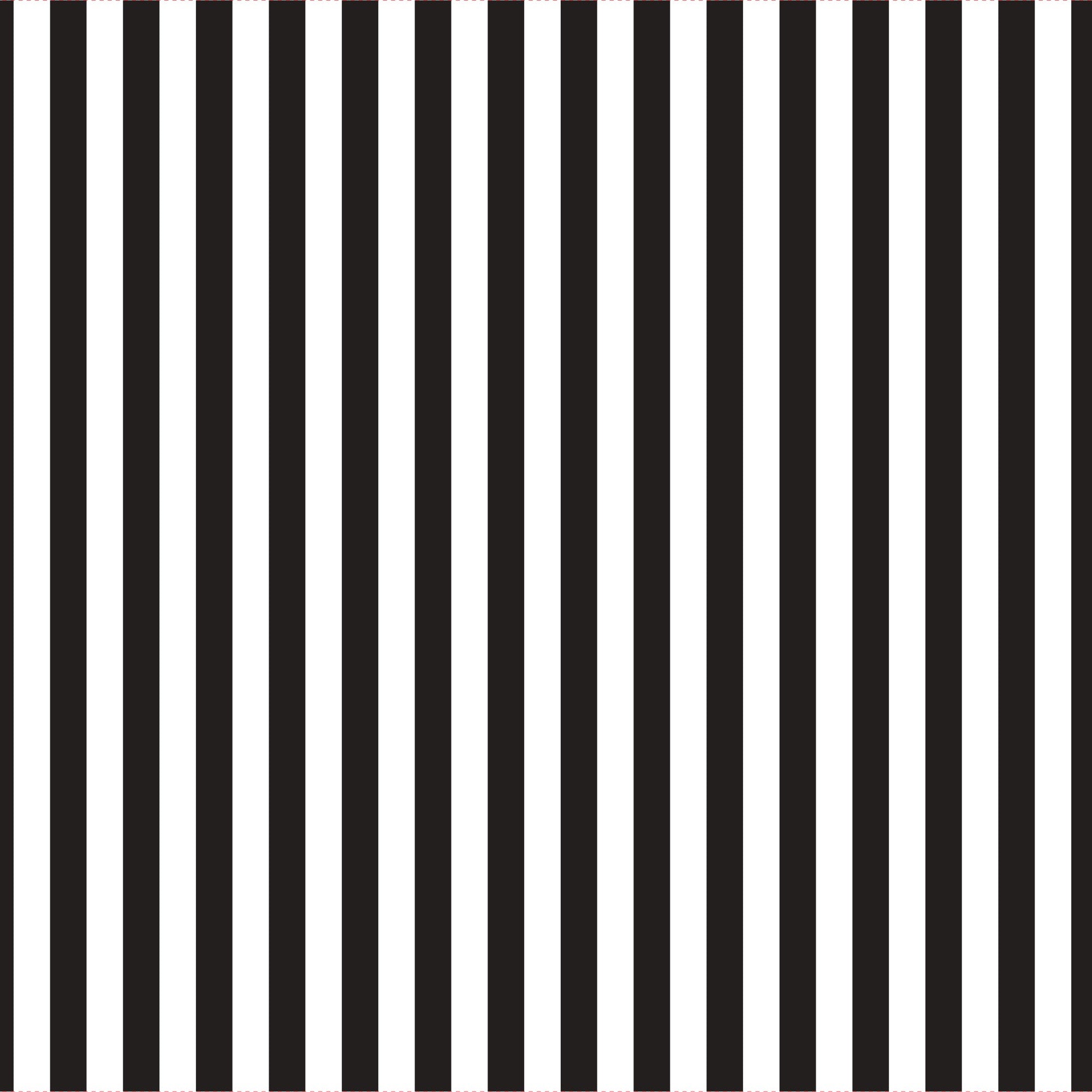 Clear Black Pinstripe Cello Wrap (50mx80cm)