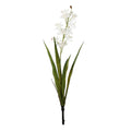Botanica Mini White Cymbidium Plant (45cm)