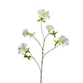 Botanica Cream Sundaville (113cm)