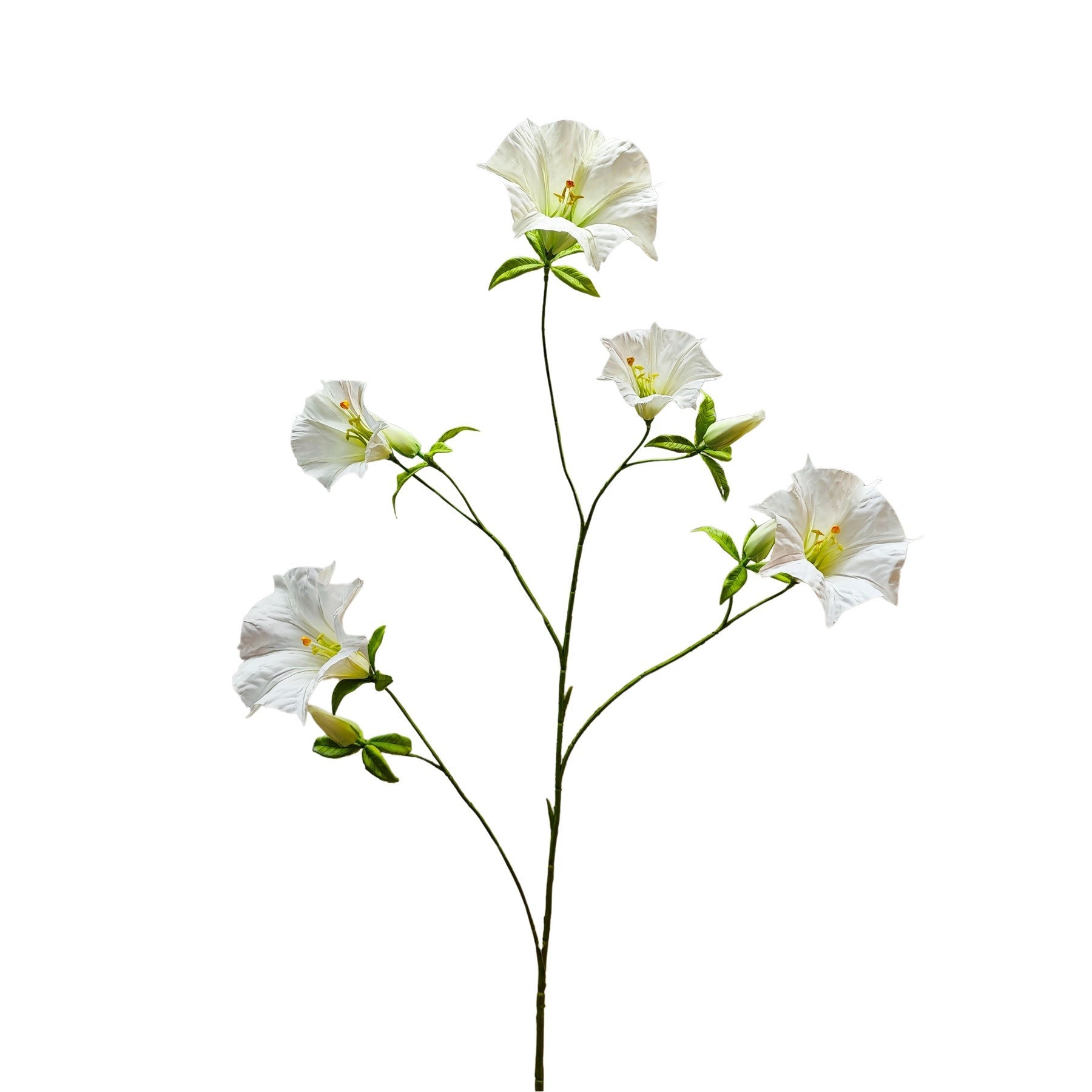 Botanica Cream Sundaville (113cm)