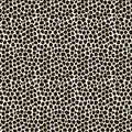 Black Animal Instinct Frosted Cello Film (80cm x 50m)