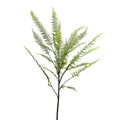 Botanica Fern Leaf Branch (162cm)