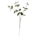 Essential Silver/Green Eucalyptus