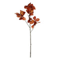 Essential Brown Chestnut Leaves (120cm)