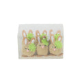 Bunnies in Clear Box (Pack of 6)