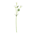 Essential White Lisianthus